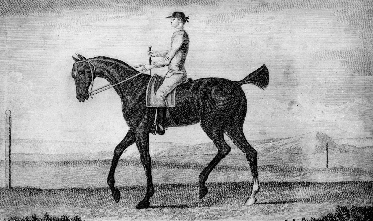 लिटिल ड्राइवर, c1850-1900, 1911 द्वारा अज्ञात