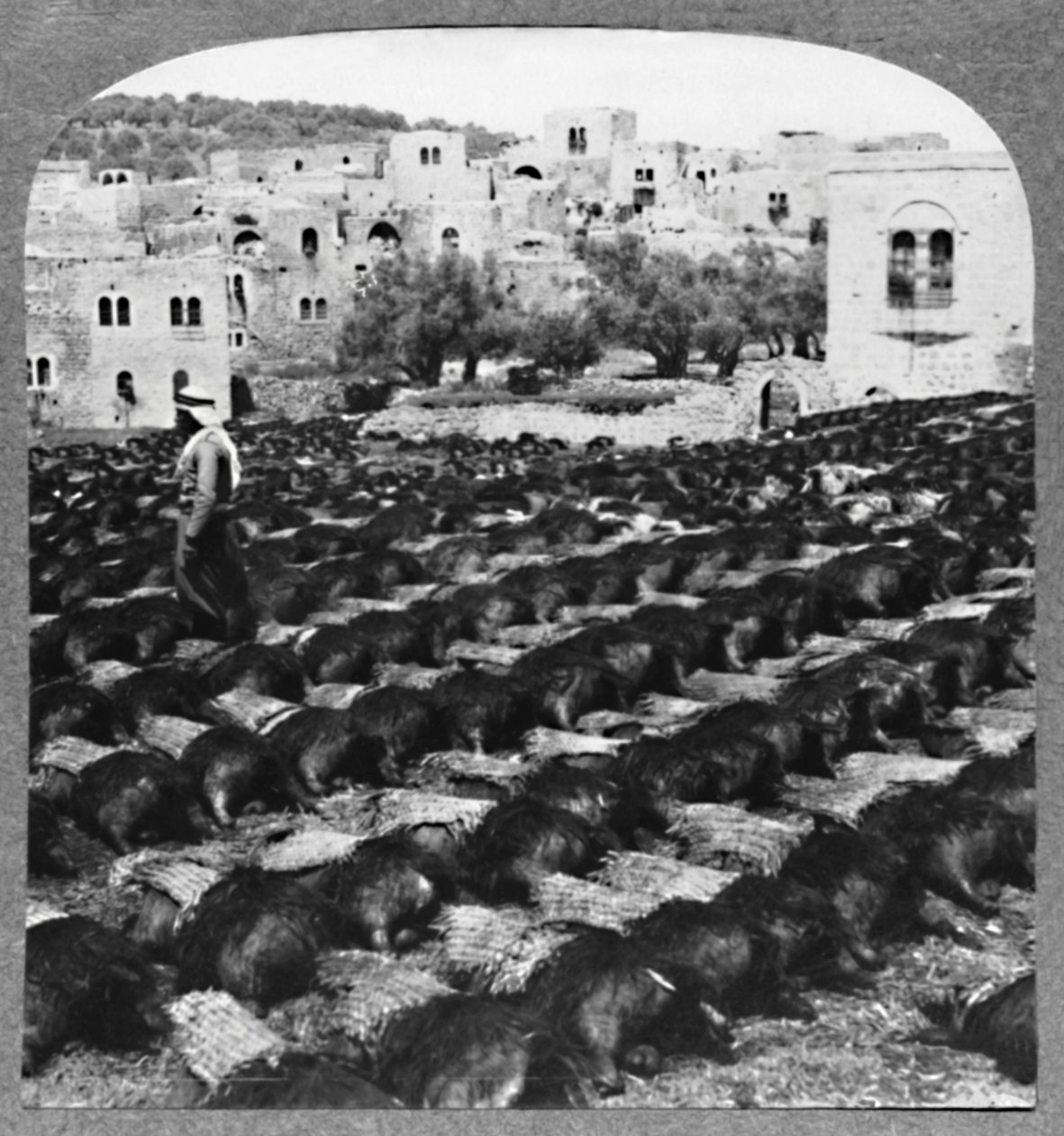 शराब की बोतलें बनाना, हेब्रोन, c1900 द्वारा अज्ञात