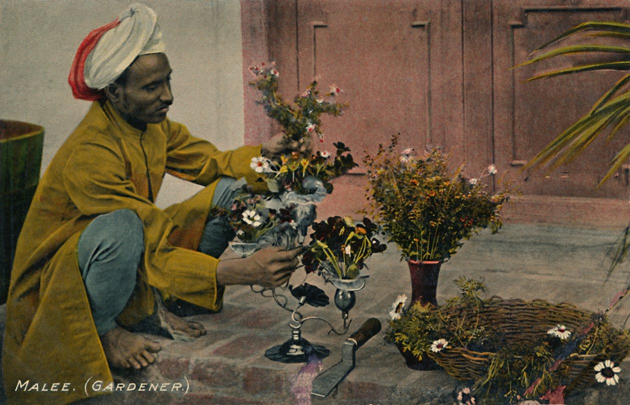 Malee। माली, c1910। द्वारा अज्ञात