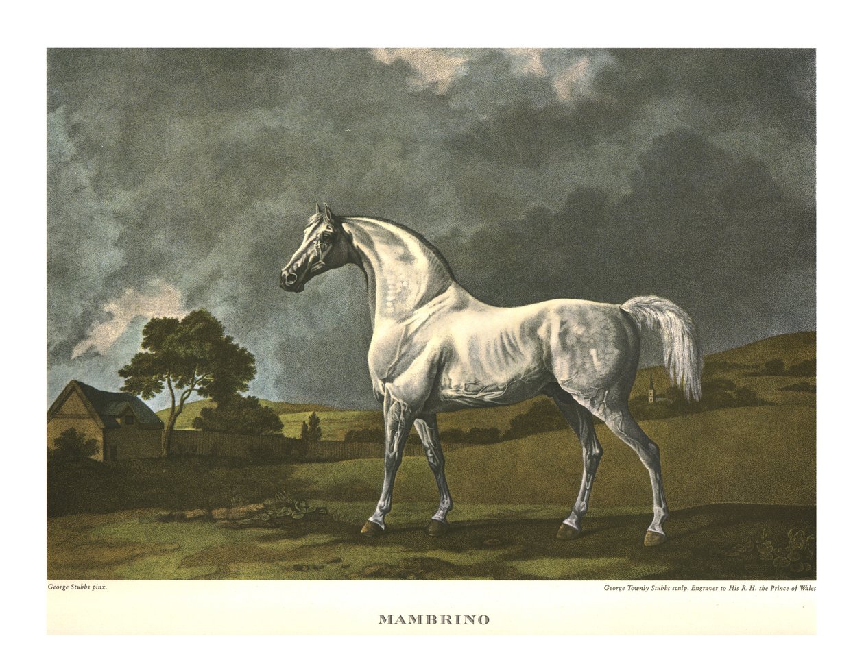 मैम्ब्रिनो, c1779, c1955। द्वारा अज्ञात