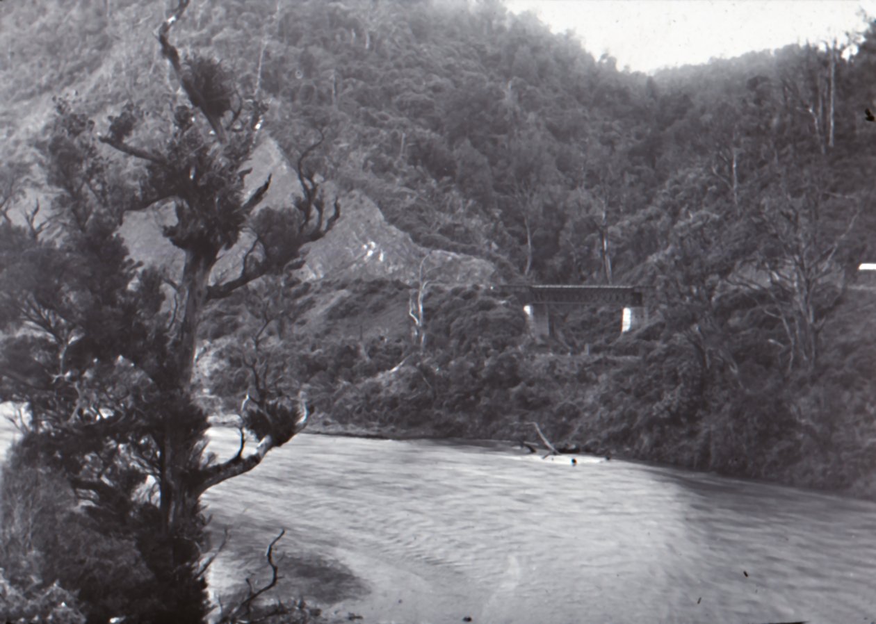 Manawatu Gorge, 19 वीं सदी के अंत में। द्वारा अज्ञात