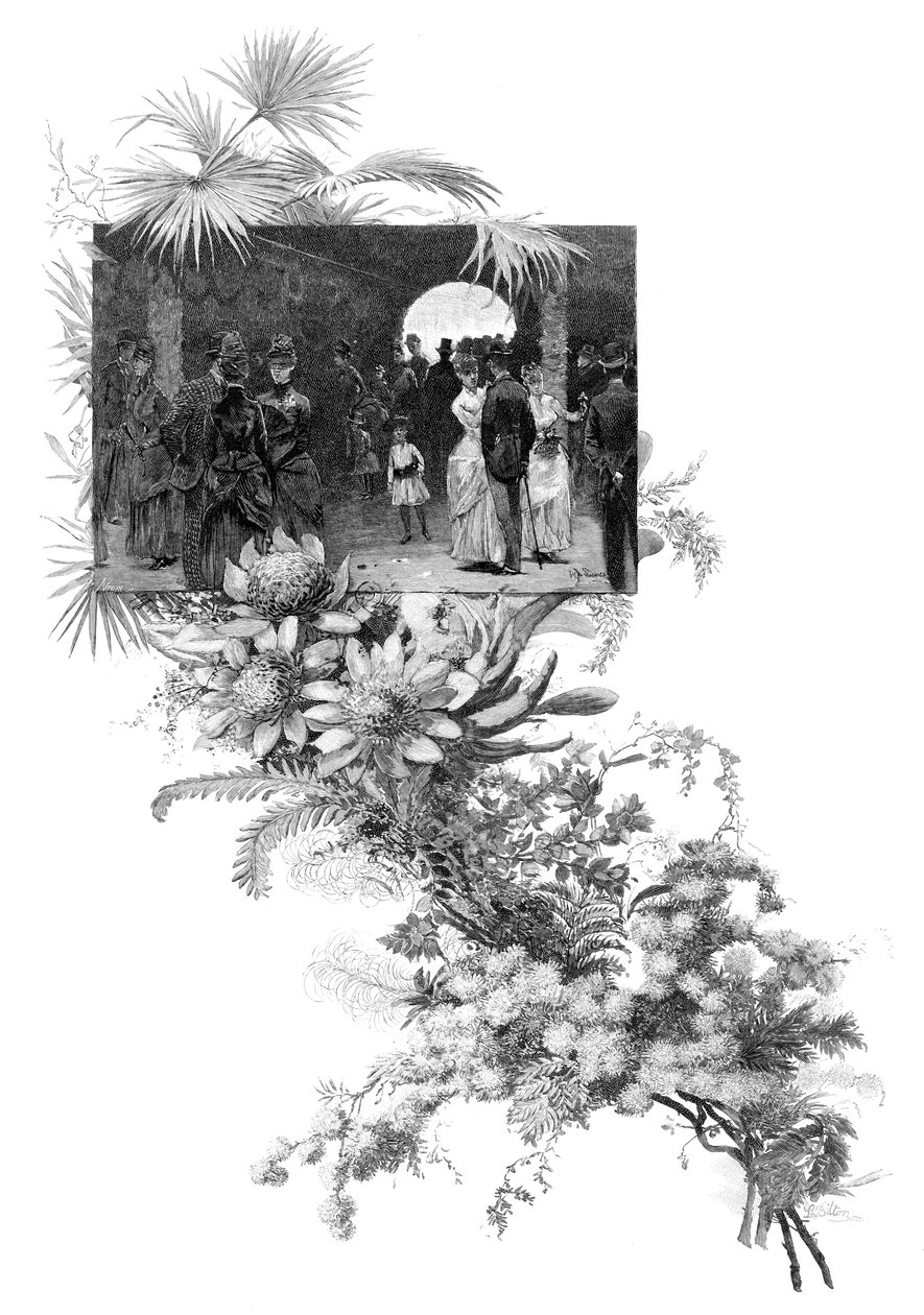 मैनली वाइल्ड फ्लावर शो, सिडनी, न्यू साउथ वेल्स, ऑस्ट्रेलिया, 1886 द्वारा अज्ञात