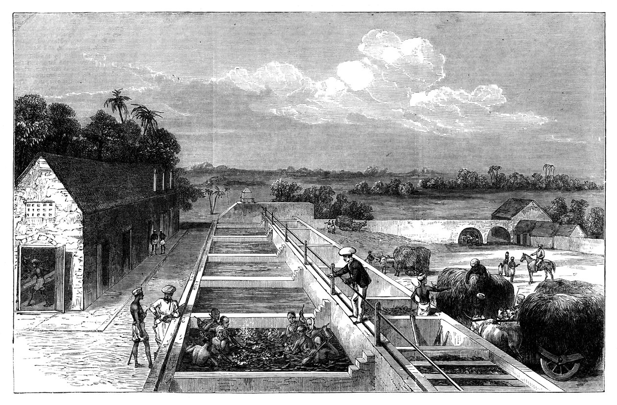 इंडिगो का तिरूत मुज़फ़्फ़रपुर, लोअर बंगाल, 1869 में निर्माण द्वारा अज्ञात