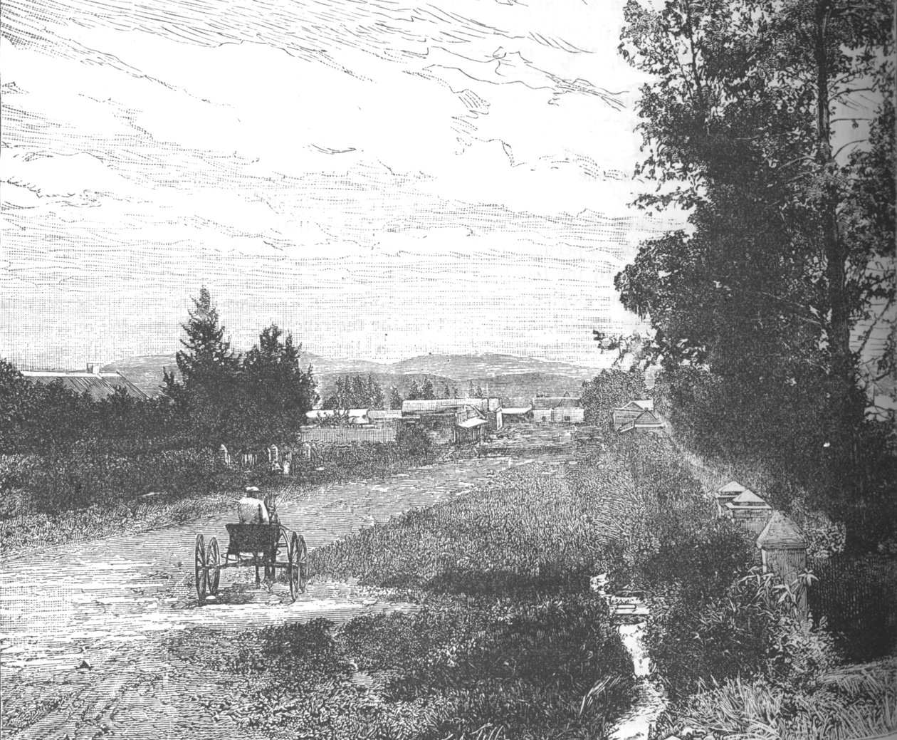 मार्केट स्ट्रीट, प्रिटोरिया, c1880s द्वारा अज्ञात