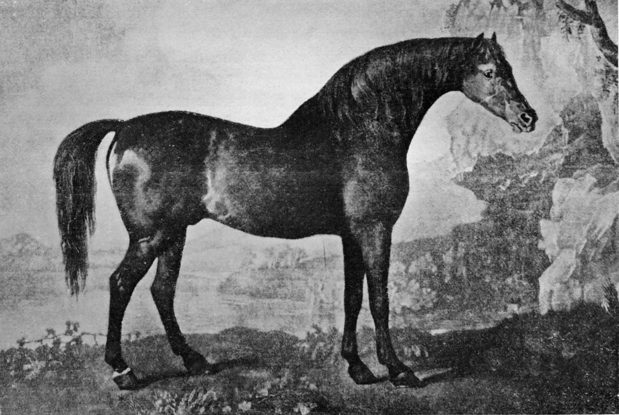 मार्स्के, 1750-1779, 1911 द्वारा अज्ञात