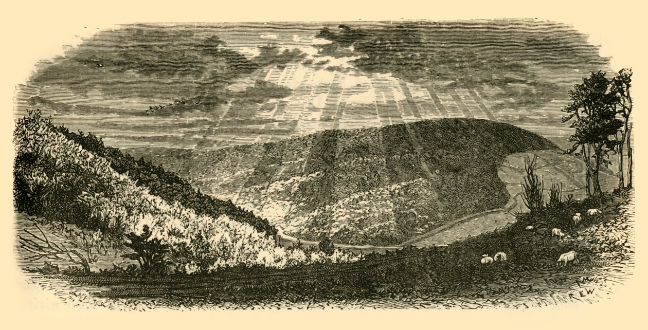 मैरी नॉल वैली, 1898। द्वारा अज्ञात