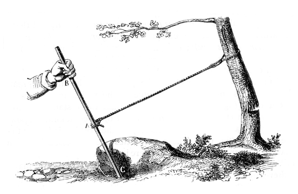 यांत्रिक लाभ: लीवर की शक्ति, 1877 द्वारा अज्ञात