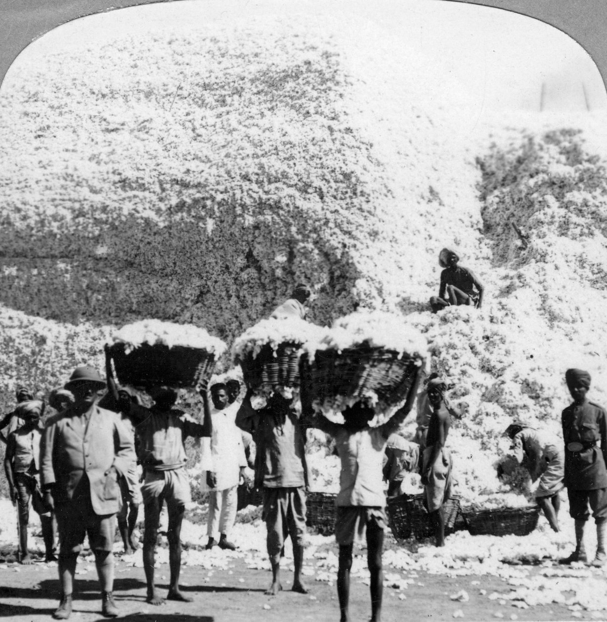 इंदौर की एक सूती मिल, भारत में 1900 के दशक में कपास की टोकरी ले जाने वाले पुरुष द्वारा अज्ञात