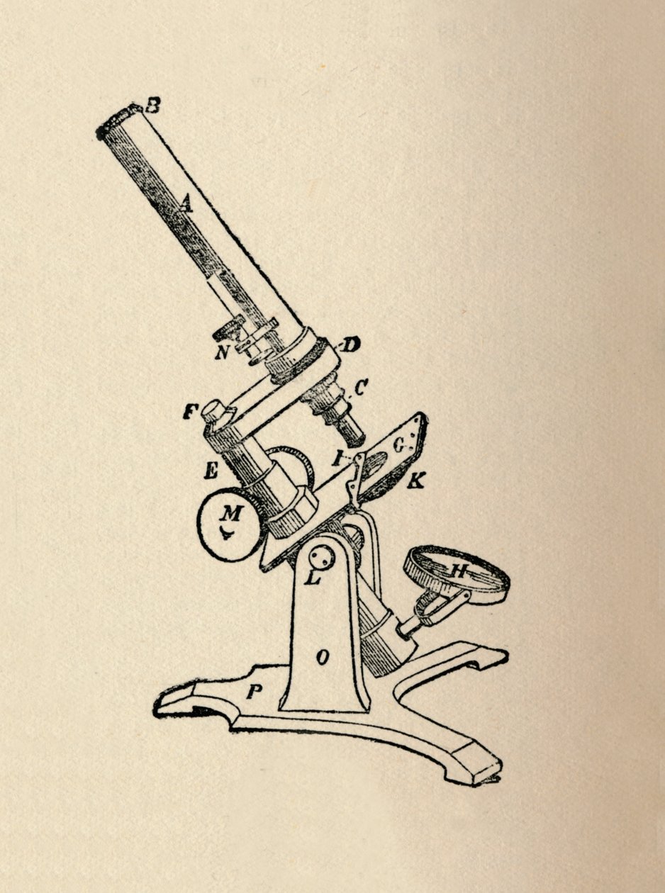 माइक्रोस्कोप, 1912 द्वारा अज्ञात