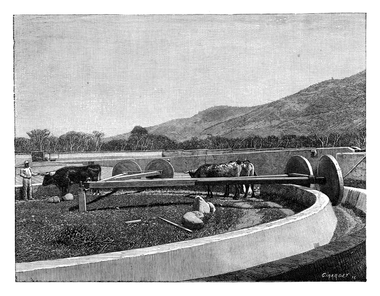 कॉफी पीने के लिए मिल, मध्य अमेरिका, c1890 द्वारा अज्ञात