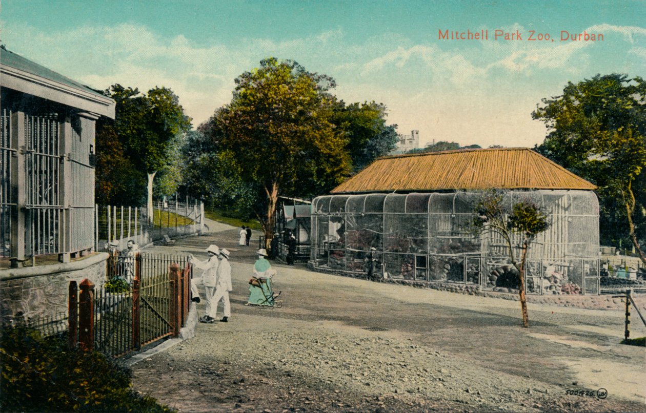 मिशेल पार्क चिड़ियाघर, डरबन, c1915 द्वारा अज्ञात