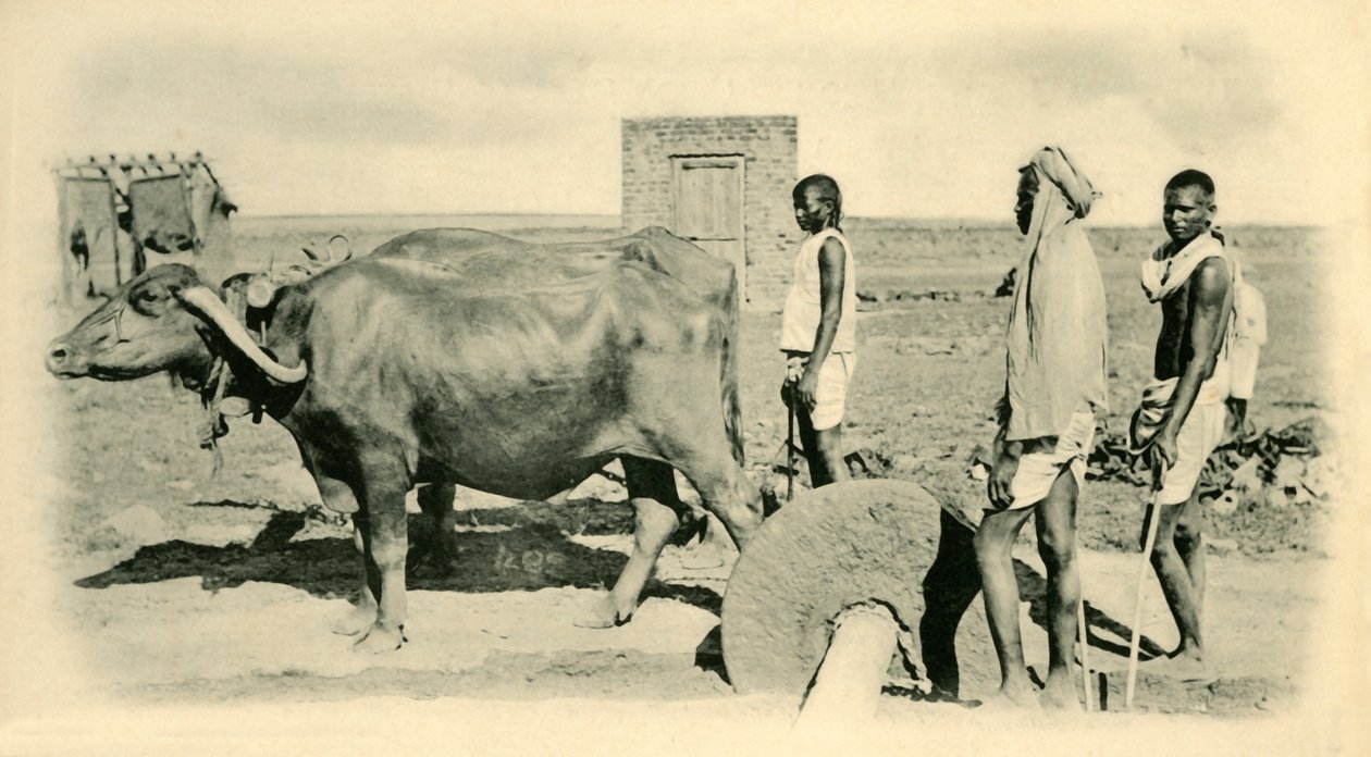 मिक्सिंग मोर्टार,। द्वारा अज्ञात