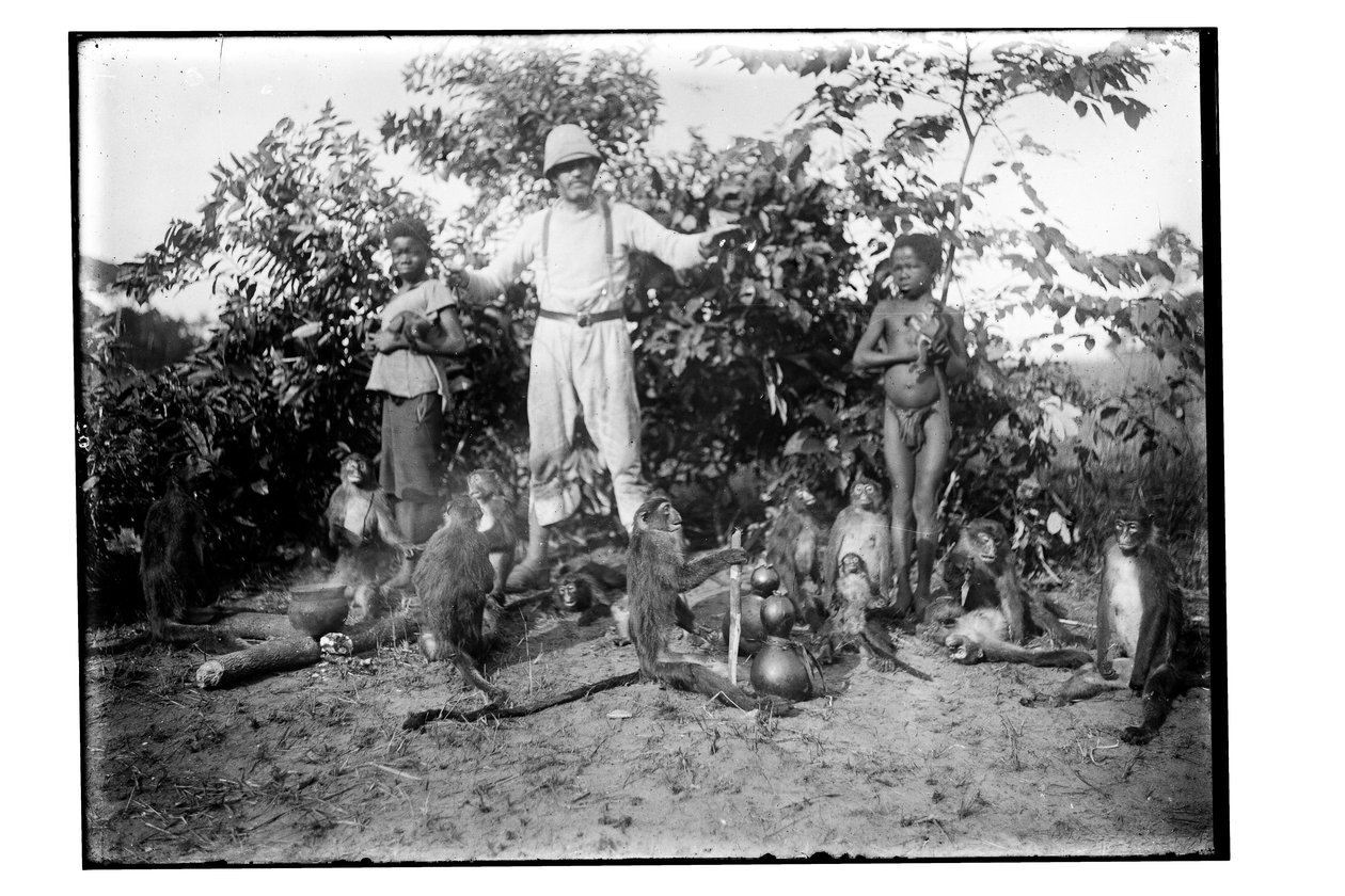 बंदर, c.1910 (b/w फोटो) द्वारा अज्ञात