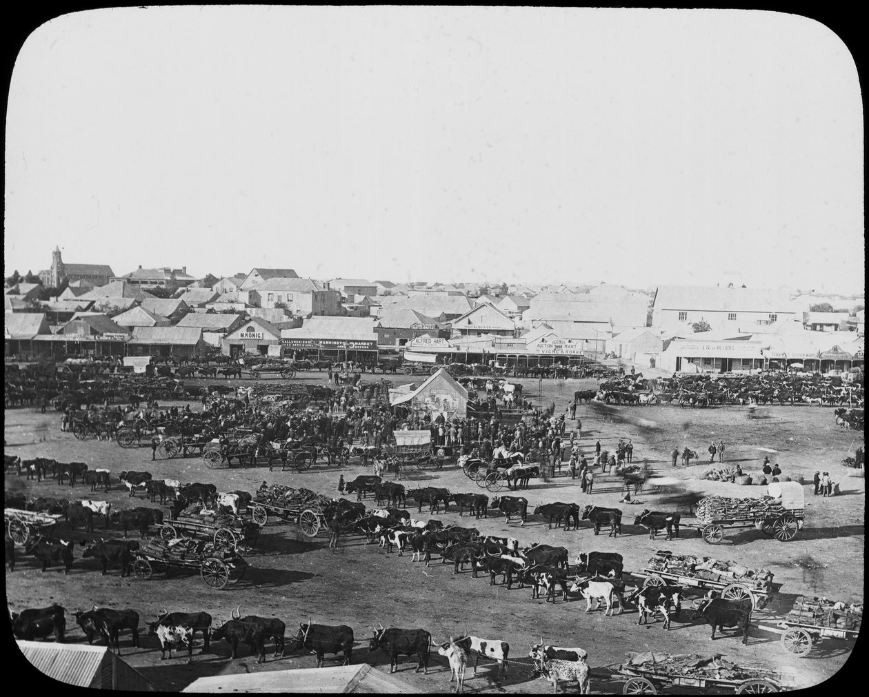 मॉर्निंग मार्केट, किम्बरली, दक्षिण अफ्रीका, c1890 द्वारा अज्ञात