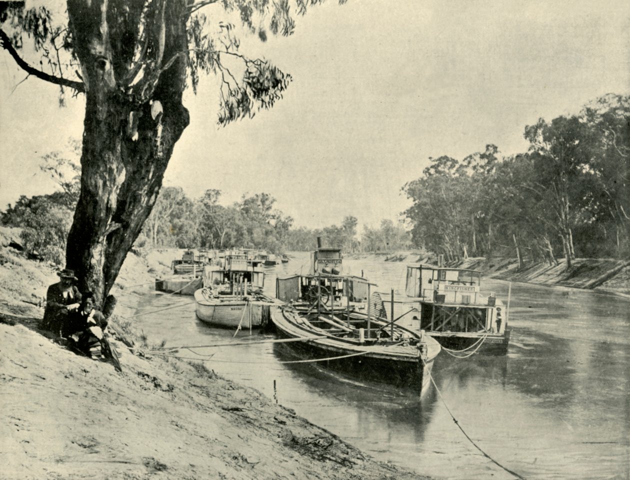 इरेका, 1901 में मरे बार्गेस और स्टीमबोट्स। द्वारा अज्ञात