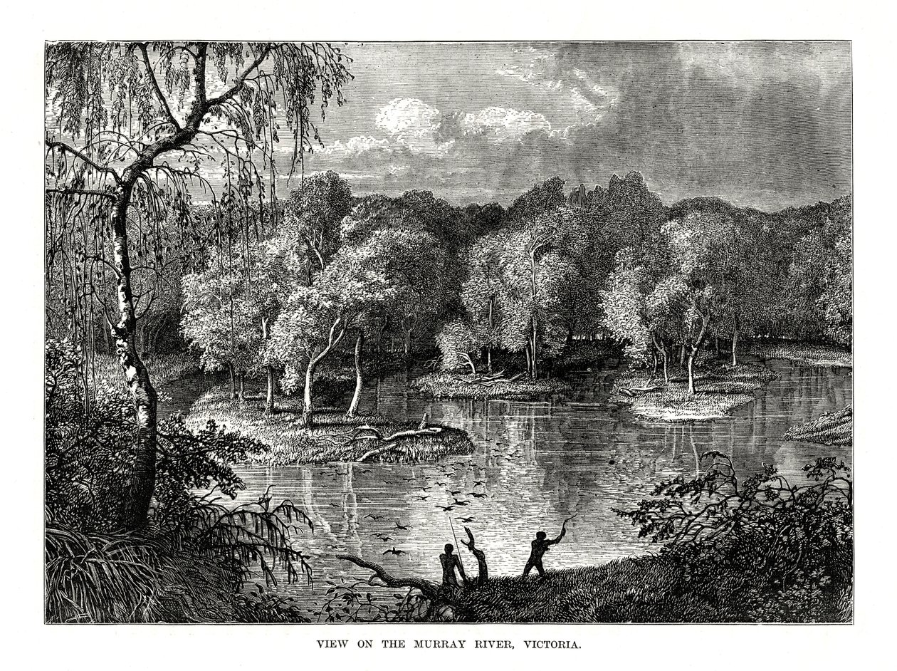 मरे नदी, विक्टोरिया, ऑस्ट्रेलिया, 1877 द्वारा अज्ञात