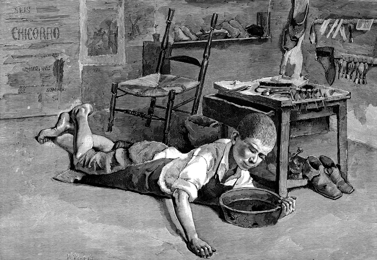 नार्सिसस, 1882 द्वारा अज्ञात
