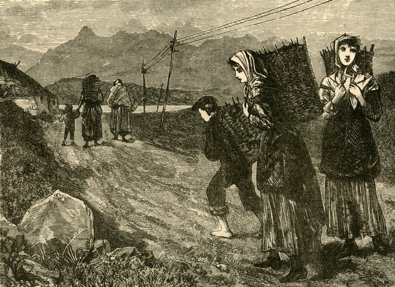 पीट्स के लिए मूल निवासी, 1898। द्वारा अज्ञात