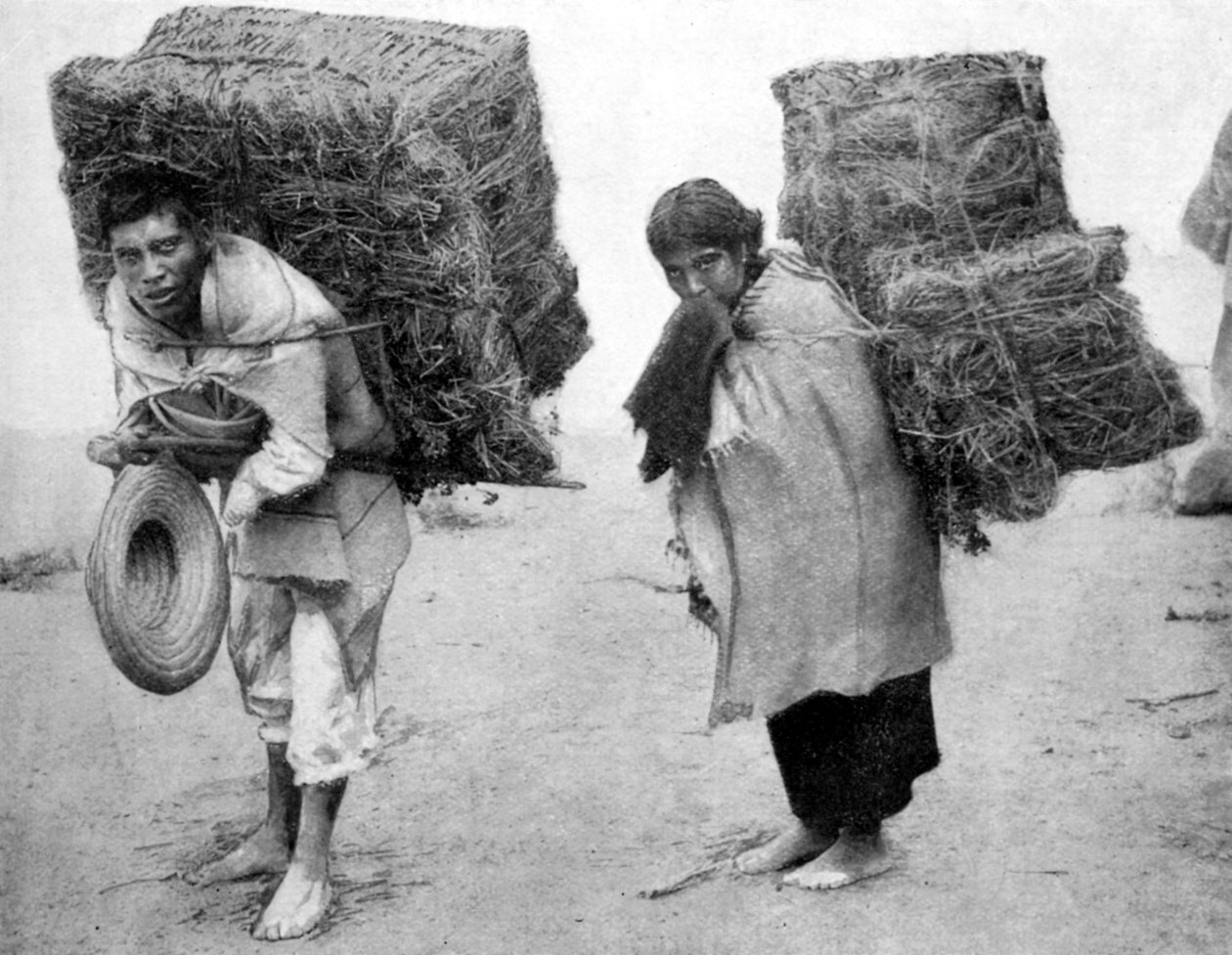 मेक्सिको के मूल निवासी, 1926 द्वारा अज्ञात
