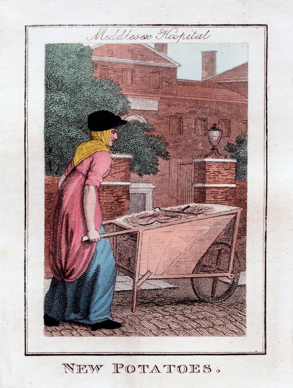 न्यू आलू, मिडलसेक्स अस्पताल, लंदन, 1805 द्वारा अज्ञात
