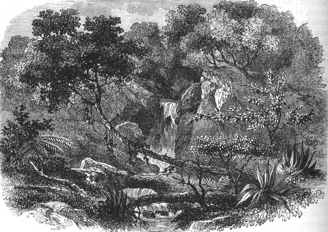 न्यूजीलैंड लैंडस्केप, c1880 द्वारा अज्ञात