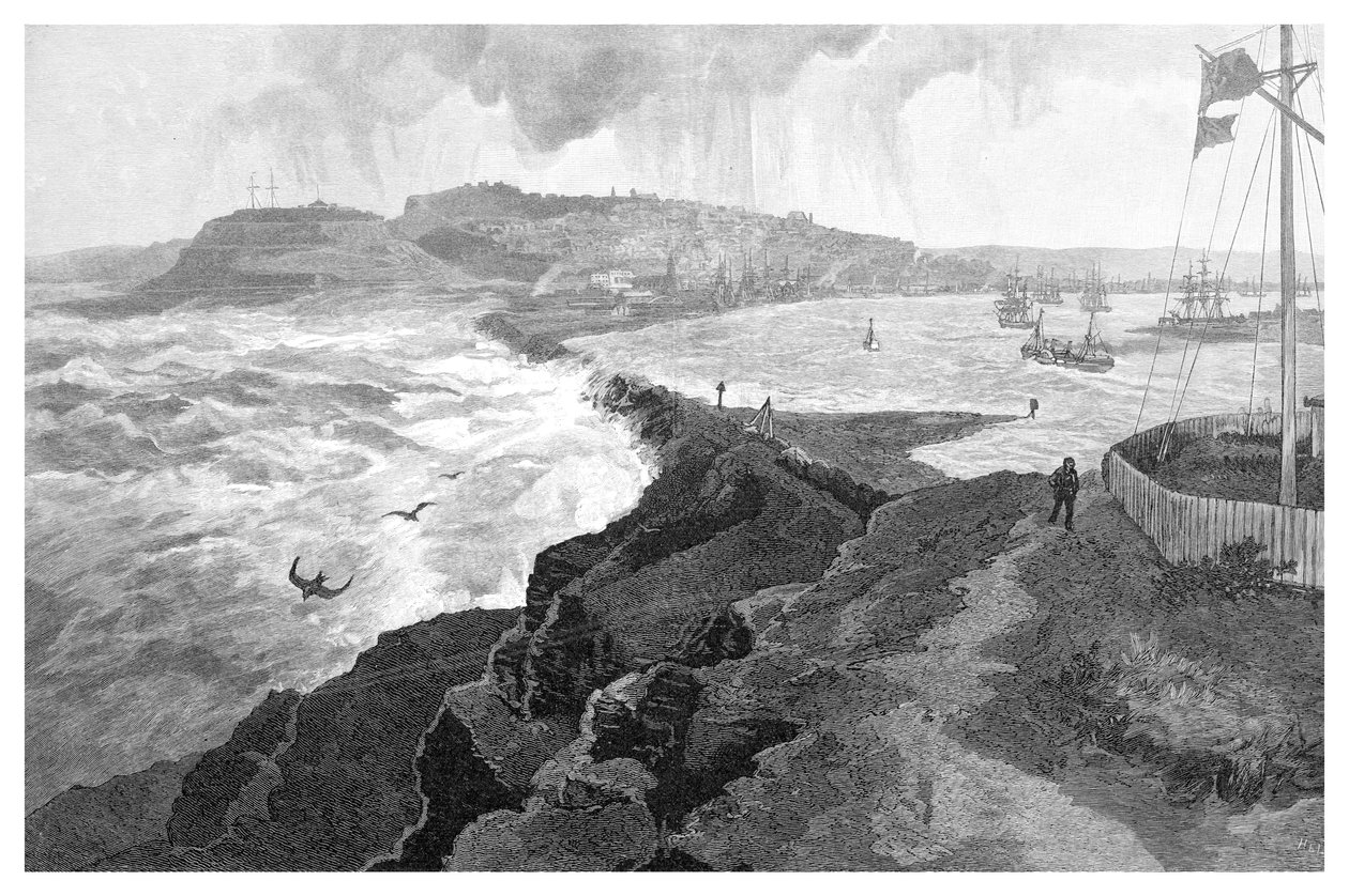 न्यूकैसल, नोबिस हेड, न्यू साउथ वेल्स, ऑस्ट्रेलिया, 1886 से द्वारा अज्ञात