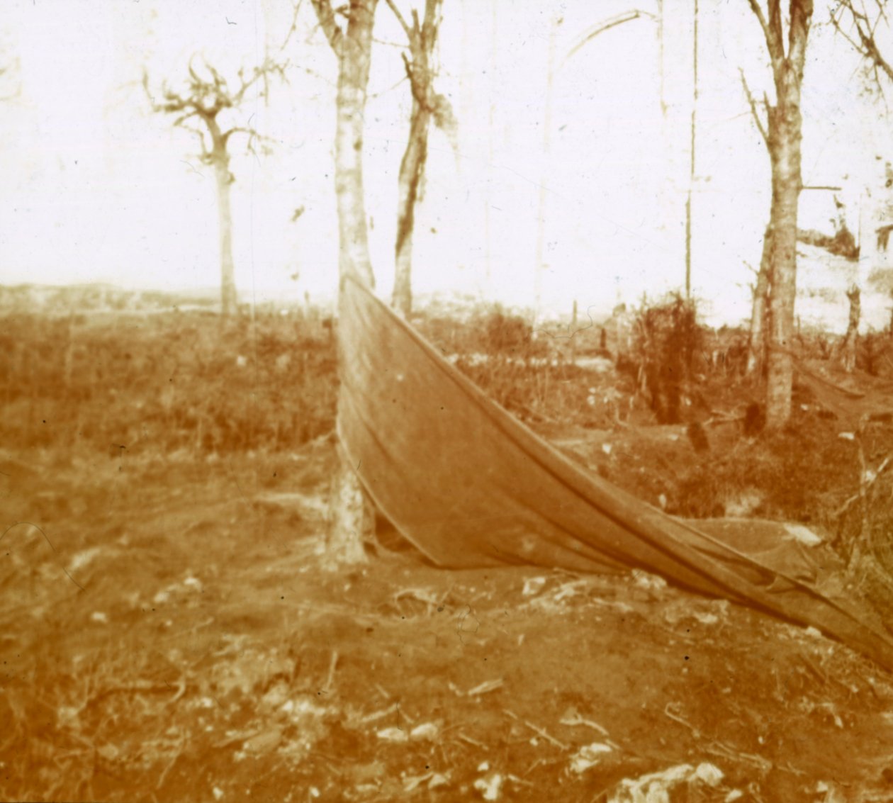 नॉर्डशोटोट, फ्लैंडर्स, बेल्जियम, c1914-c1918 द्वारा अज्ञात