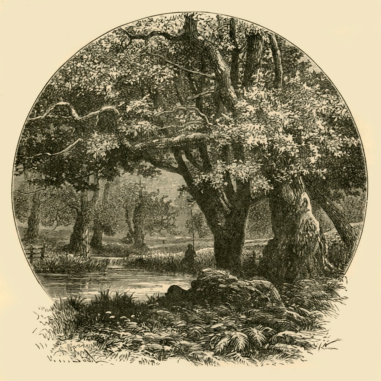 ब्रैडगेट, 1898 में ओक्स। द्वारा अज्ञात