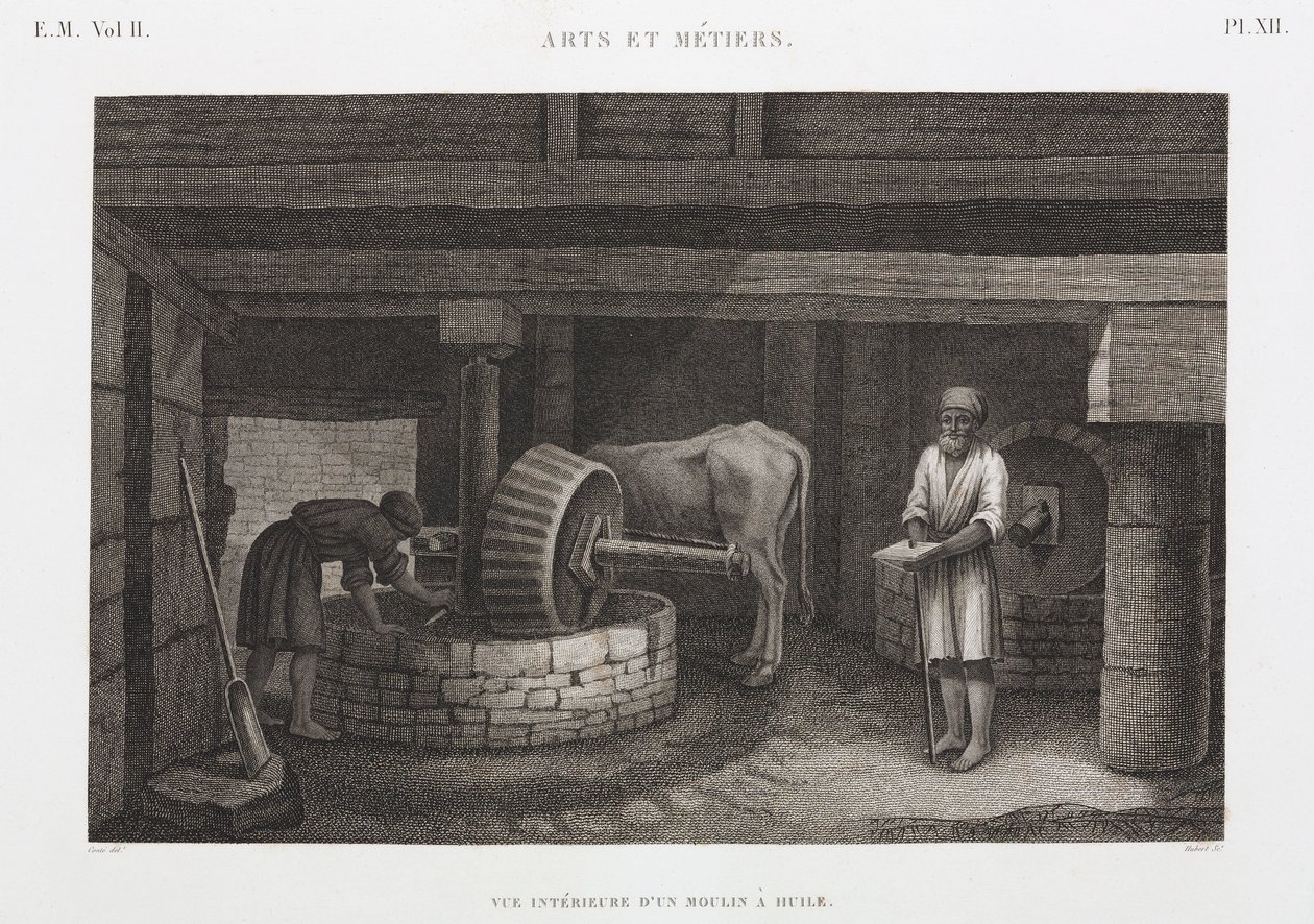 तेल, वसा और मोम तेल मिल, मिस्र, c 1798 द्वारा अज्ञात