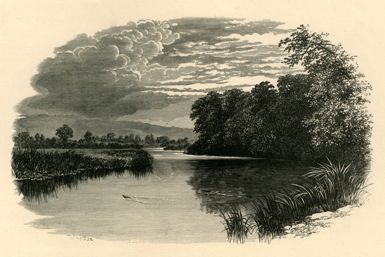 एवन पर। स्ट्रेंशम रीच, सी 1890। द्वारा अज्ञात