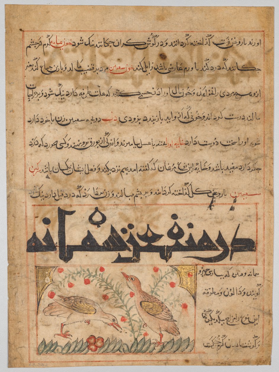 एक Manafi अल-हैवान ... से cails के लाभ के बारे में ..., सी। 1300। द्वारा अज्ञात