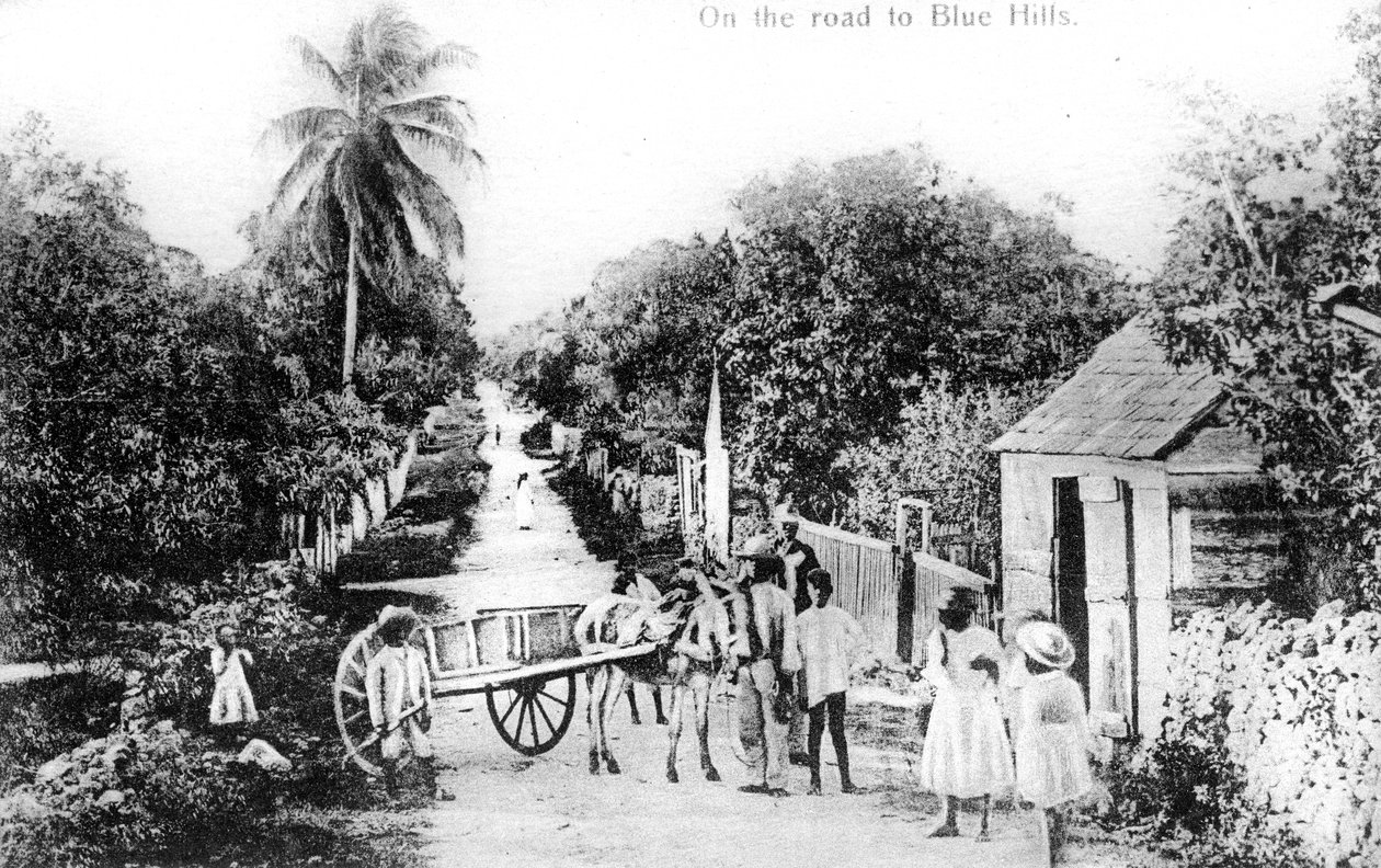 ब्लू हिल्स, बहामा की सड़क पर, c1900s द्वारा अज्ञात