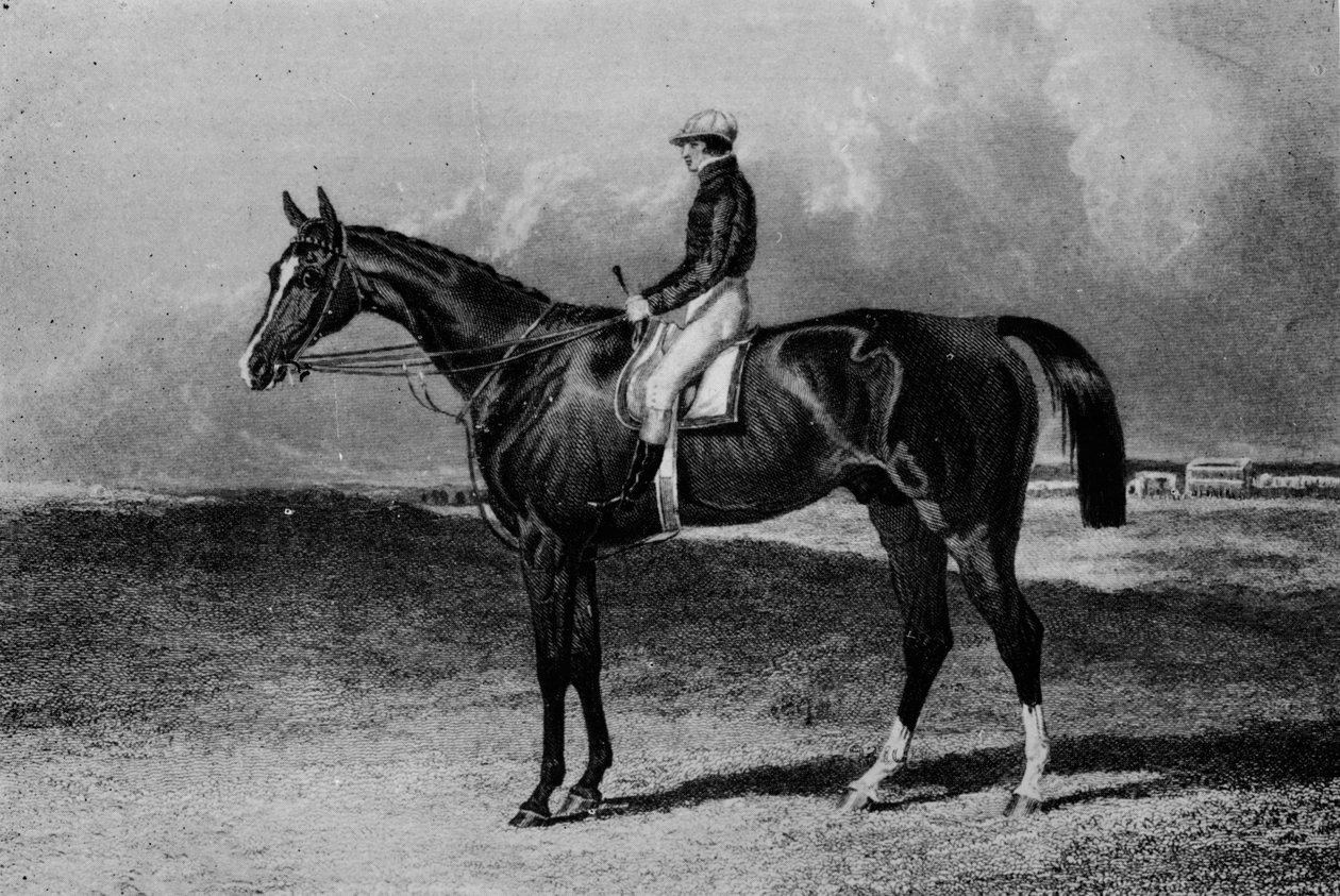 ऑरलैंडो, c1841-1860, 1911 द्वारा अज्ञात