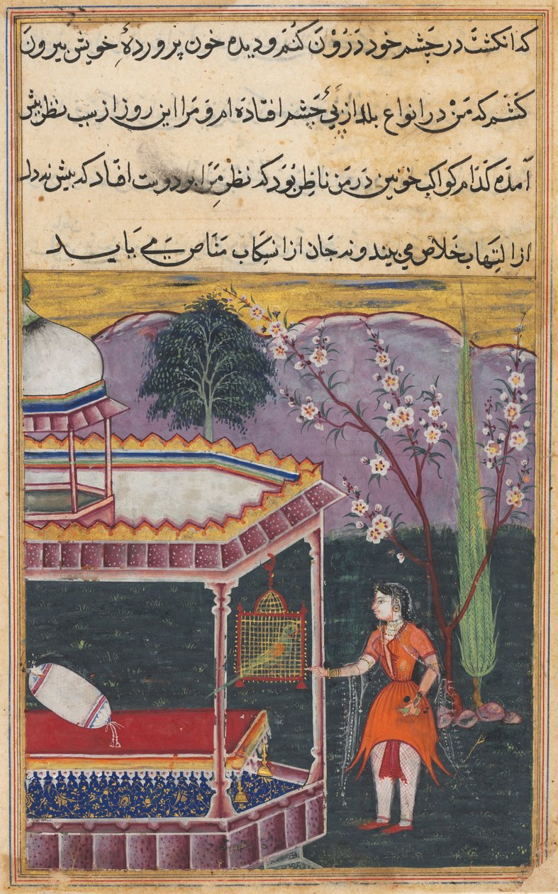 एक तोते की कहानियाँ टुटी-नाम से: आठवीं रात: तोता ख़ुस्ता, ... 1558-1560। द्वारा अज्ञात