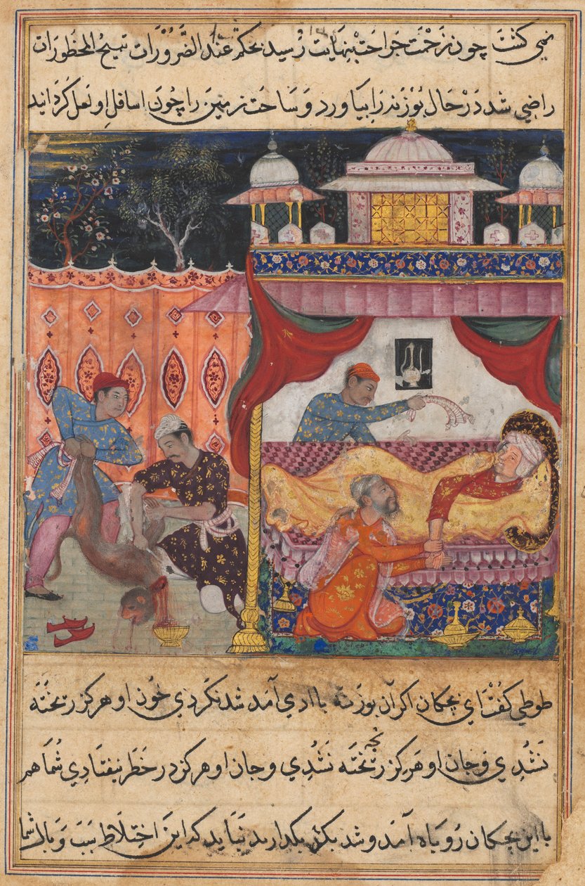 एक तोते की कहानियों से पेज टुटी-नामा: पांचवीं रात: बंदर का वध, उसका खून ..., सी। 1560। द्वारा अज्ञात