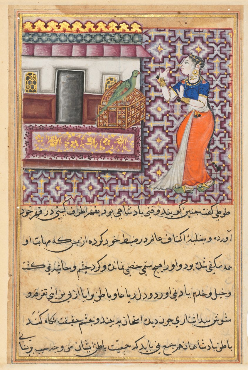 एक तोते की कहानियाँ टुटी-नाम से: पन्द्रहवीं रात: तोता पत्ता खुजस्ता ..., सी। 1560। द्वारा अज्ञात