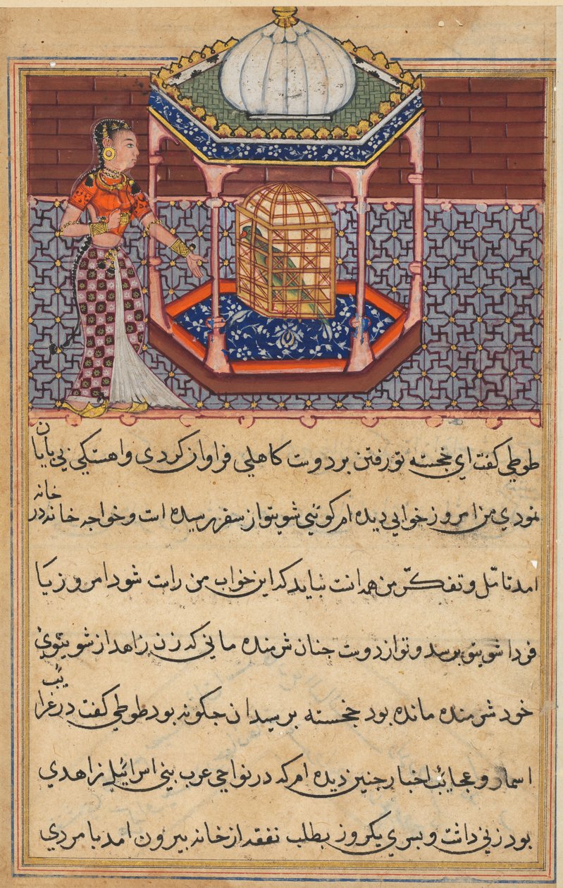 तोता-नामा के किस्से पृष्ठ: पचासवीं रात: तोता पत्ता खुजस्ता ..., C1560 द्वारा अज्ञात