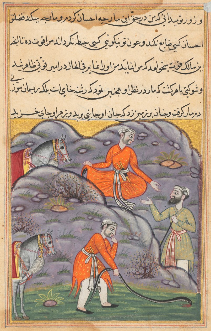 एक तोते की कहानी टुटी-नाम से पेज: चालीसवीं रात: अमीर ने साँप को मार डाला ..., सी। 1560। द्वारा अज्ञात