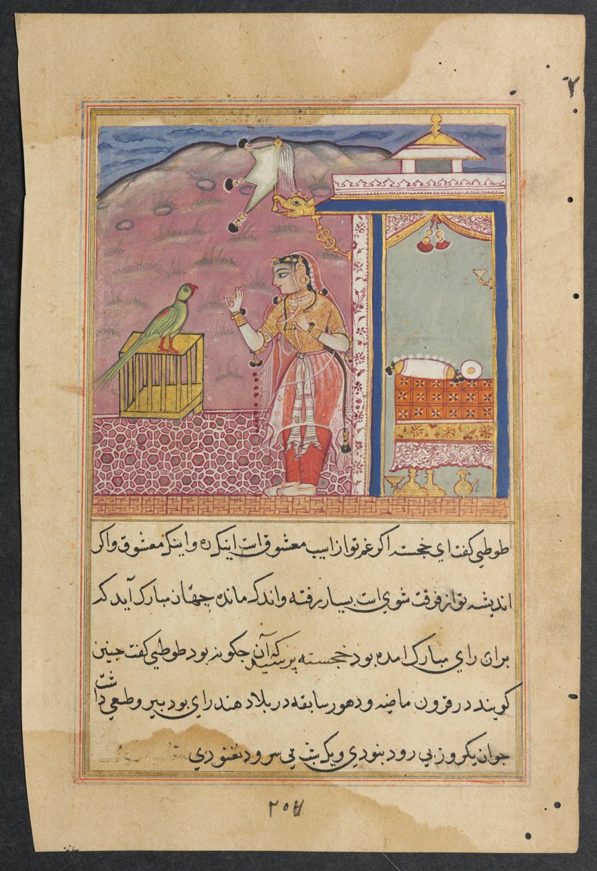 एक तोते की कहानियाँ टुटी-नाम से: चालीसवीं रात: तोता पत्ता ..., सी। 1560। द्वारा अज्ञात