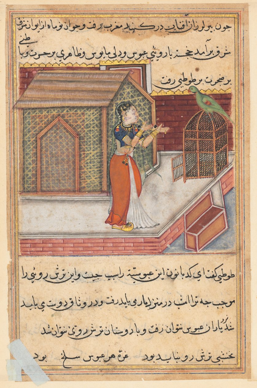 एक तोते की कहानियाँ टुटी-नाम से: चालीसवीं रात: तोता खुजस्ता ..., c1560 को संबोधित करता है। द्वारा अज्ञात