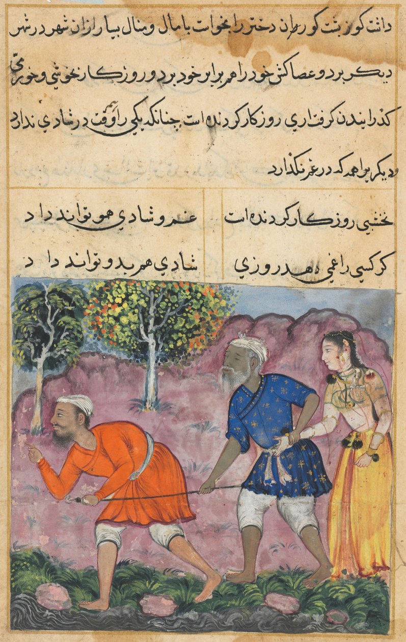 एक तोते की कहानियाँ टुटी-नाम से: चालीस-दूसरी रात: द राजस बेटी ..., सी। 1560। द्वारा अज्ञात