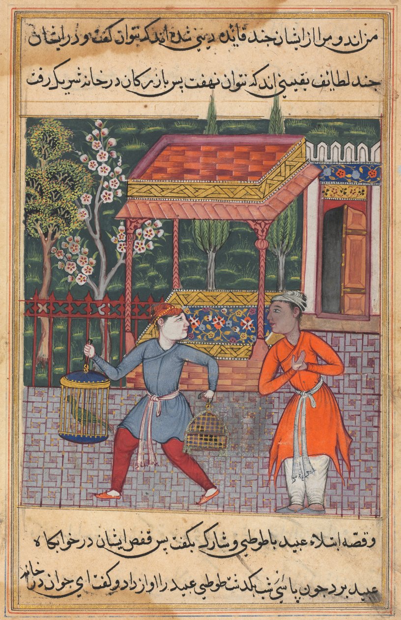 एक तोते की कहानियाँ टुटी-नाम से: चालीस-दूसरी रात: तिर्मिज़ के व्यापारी ..., सी। 1560। द्वारा अज्ञात