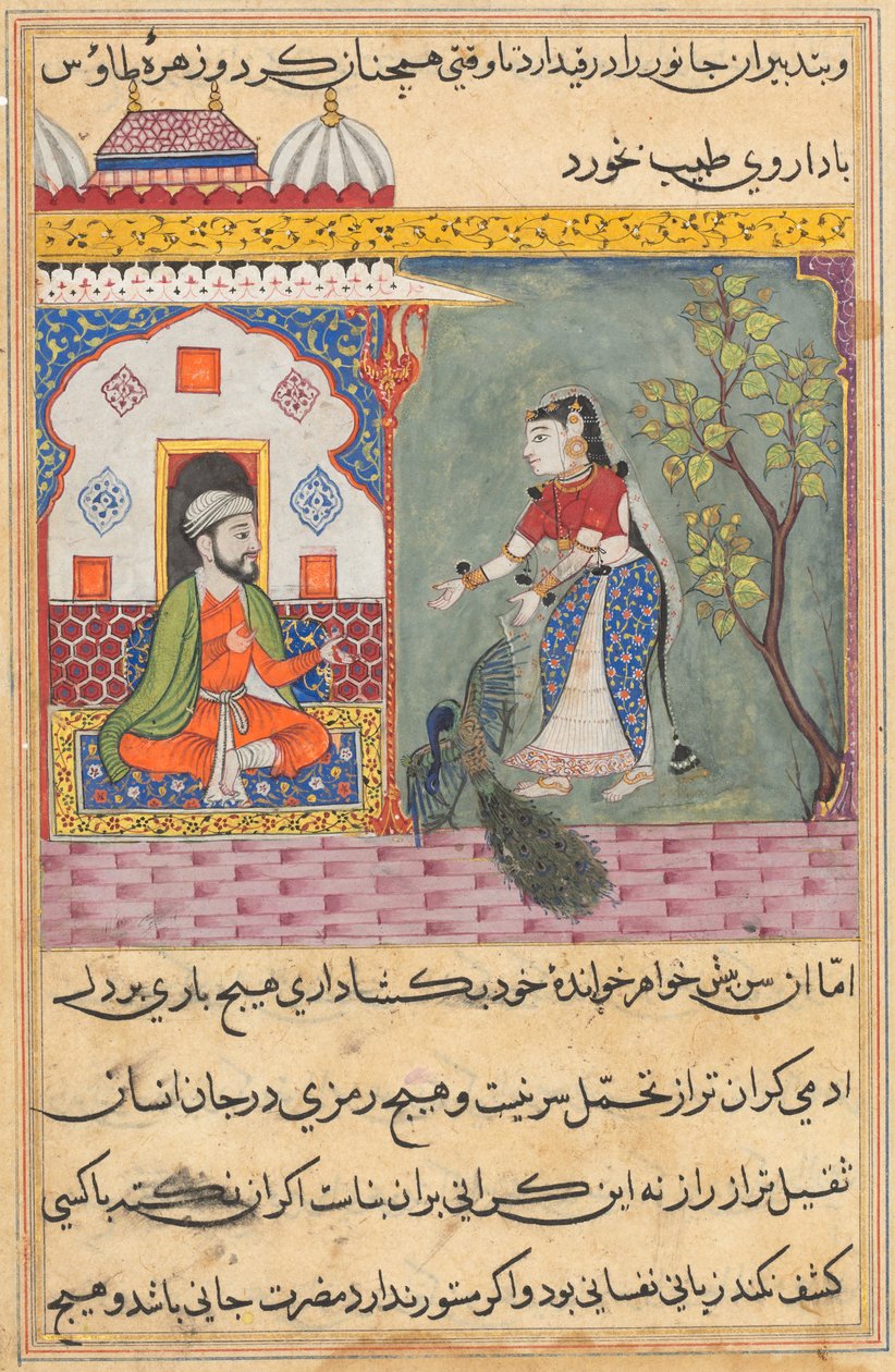 एक तोते की कहानियाँ टुटी-नाम से: उन्नीसवीं रात: ब्रह्मण पत्नी ..., सी। 1560। द्वारा अज्ञात