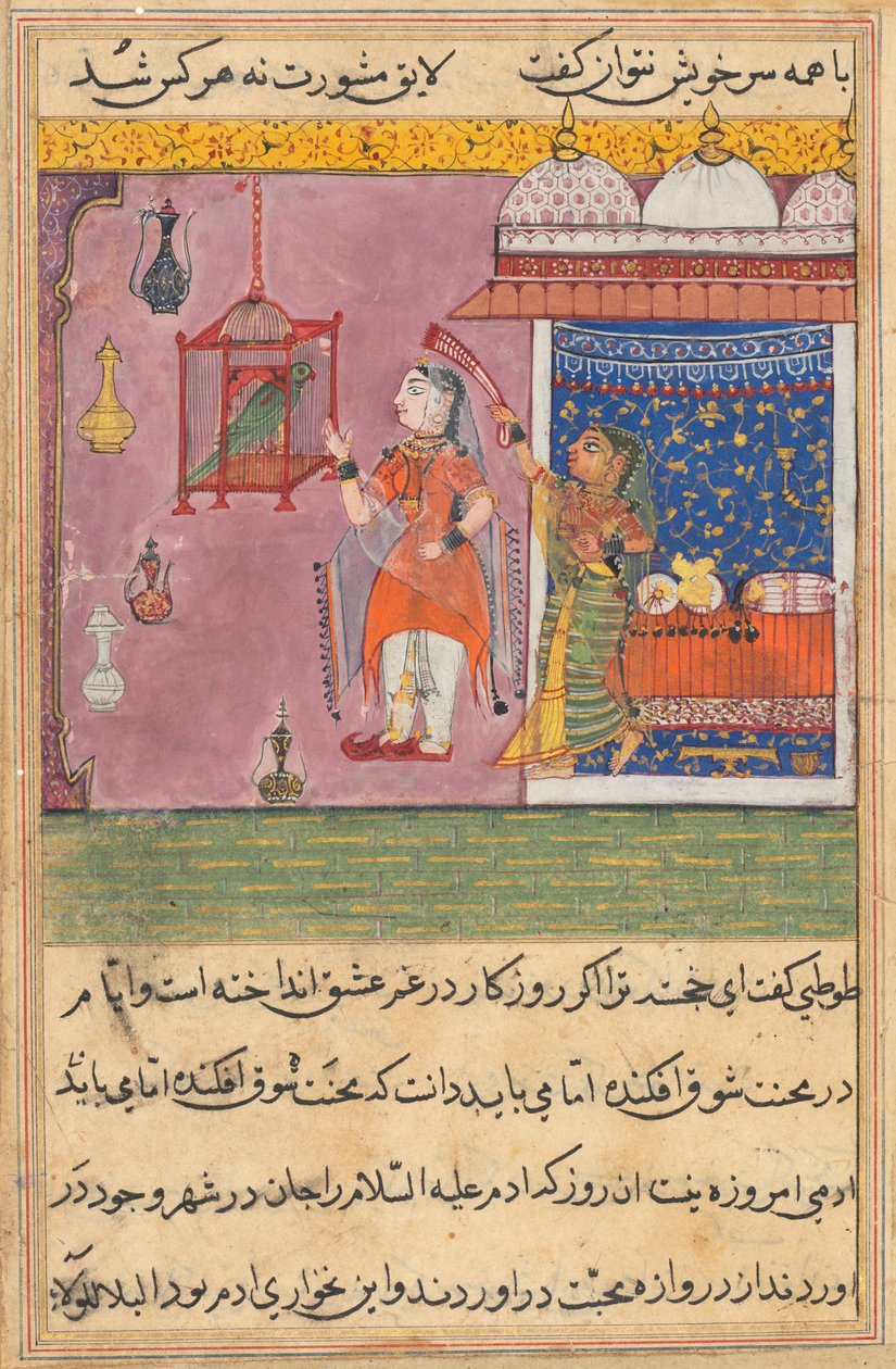 एक तोते की कहानियाँ टुटी-नाम से: उन्नीसवीं रात: तोता पत्ता ..., सी। 1560। द्वारा अज्ञात