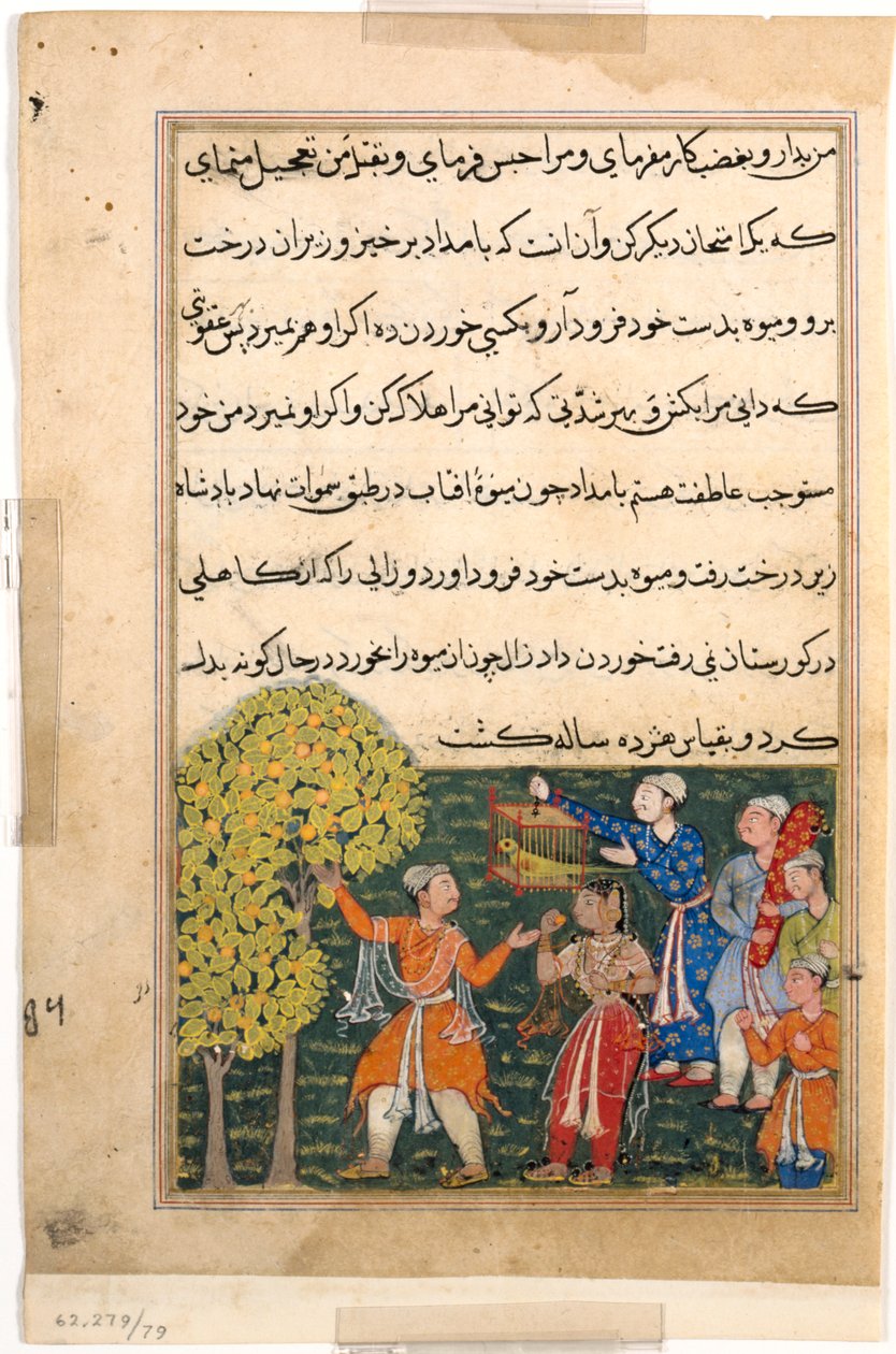 एक तोते की कहानियाँ टुटी-नाम से: नौवीं रात: राजा पेड़ से फल तोड़ता है ..., सी। 156 द्वारा अज्ञात
