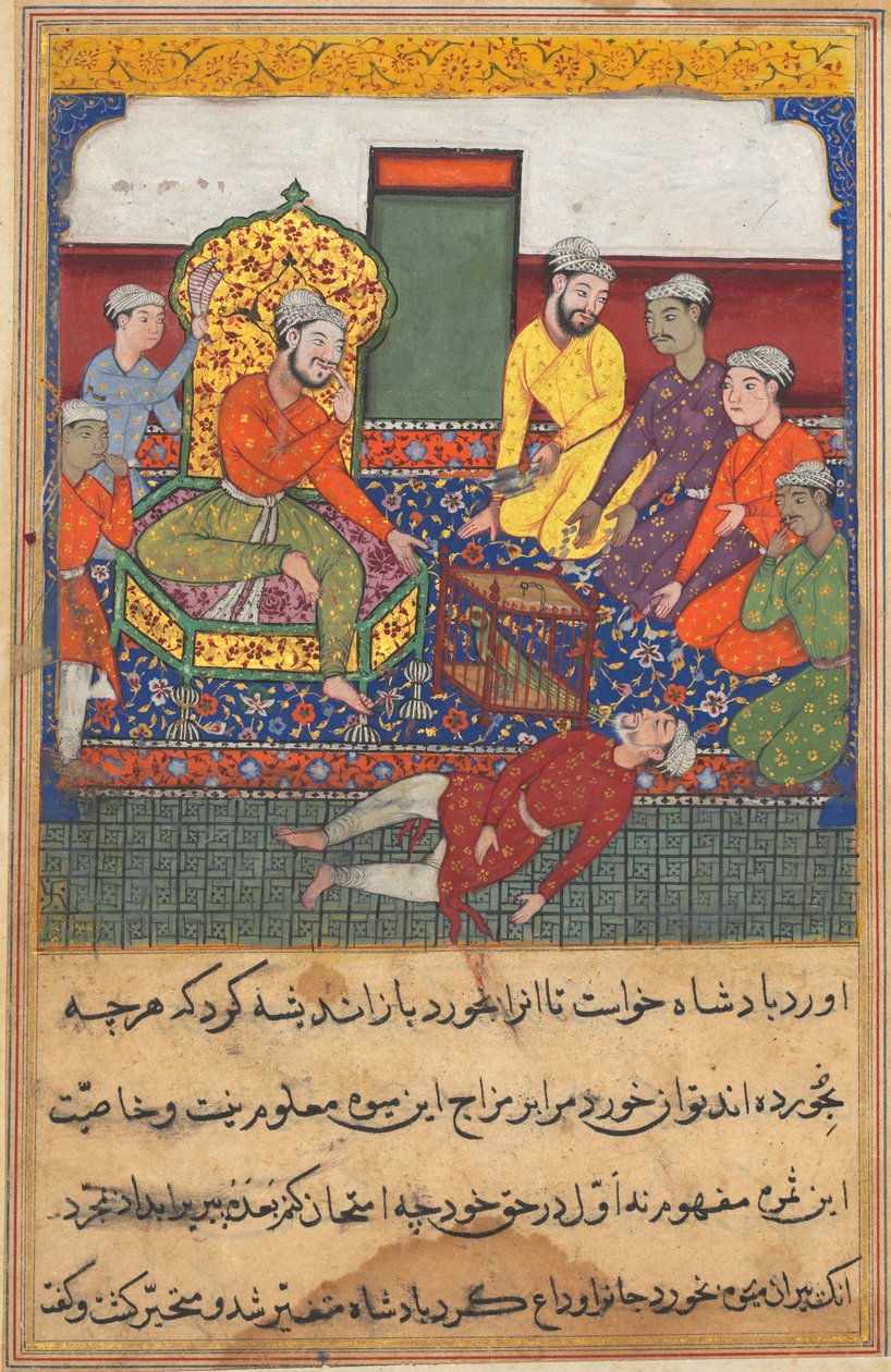 एक तोते की कहानियाँ टुटी-नाम से: नौवीं रात: बूढ़ा आदमी फल खाता है ..., सी। 1560। द्वारा अज्ञात