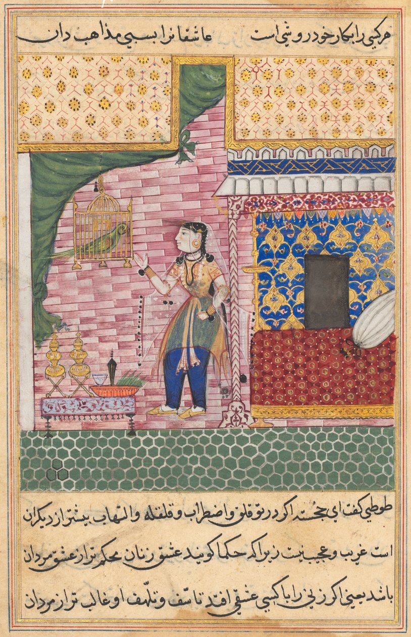 एक तोते की कहानियाँ टुटी-नाम से: सत्रहवीं रात: तोता ..., सी। 1560। द्वारा अज्ञात