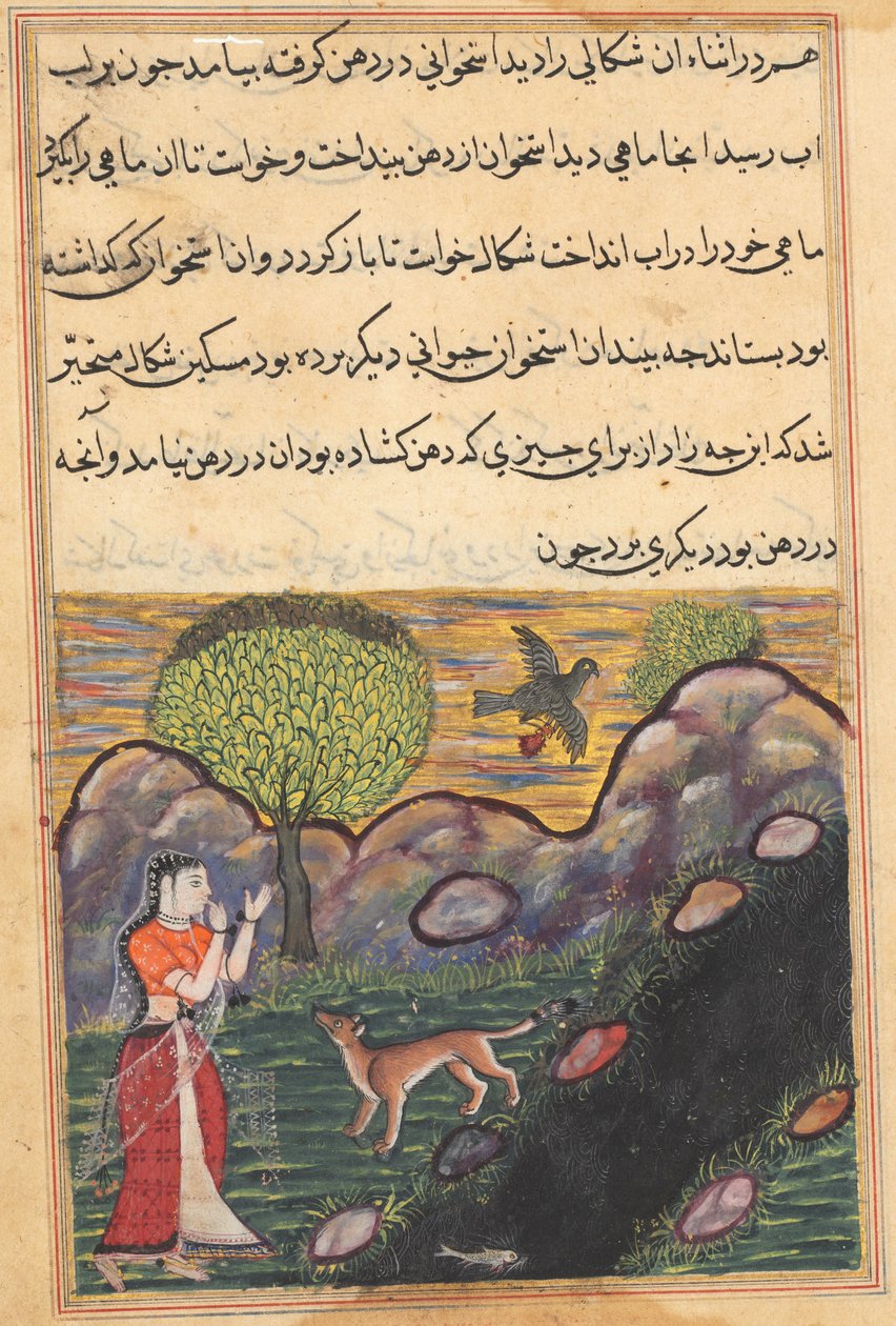 एक तोते की कहानियाँ टुटी-नाम से: सोलहवीं रात: बहू ..., सी। 1560। द्वारा अज्ञात