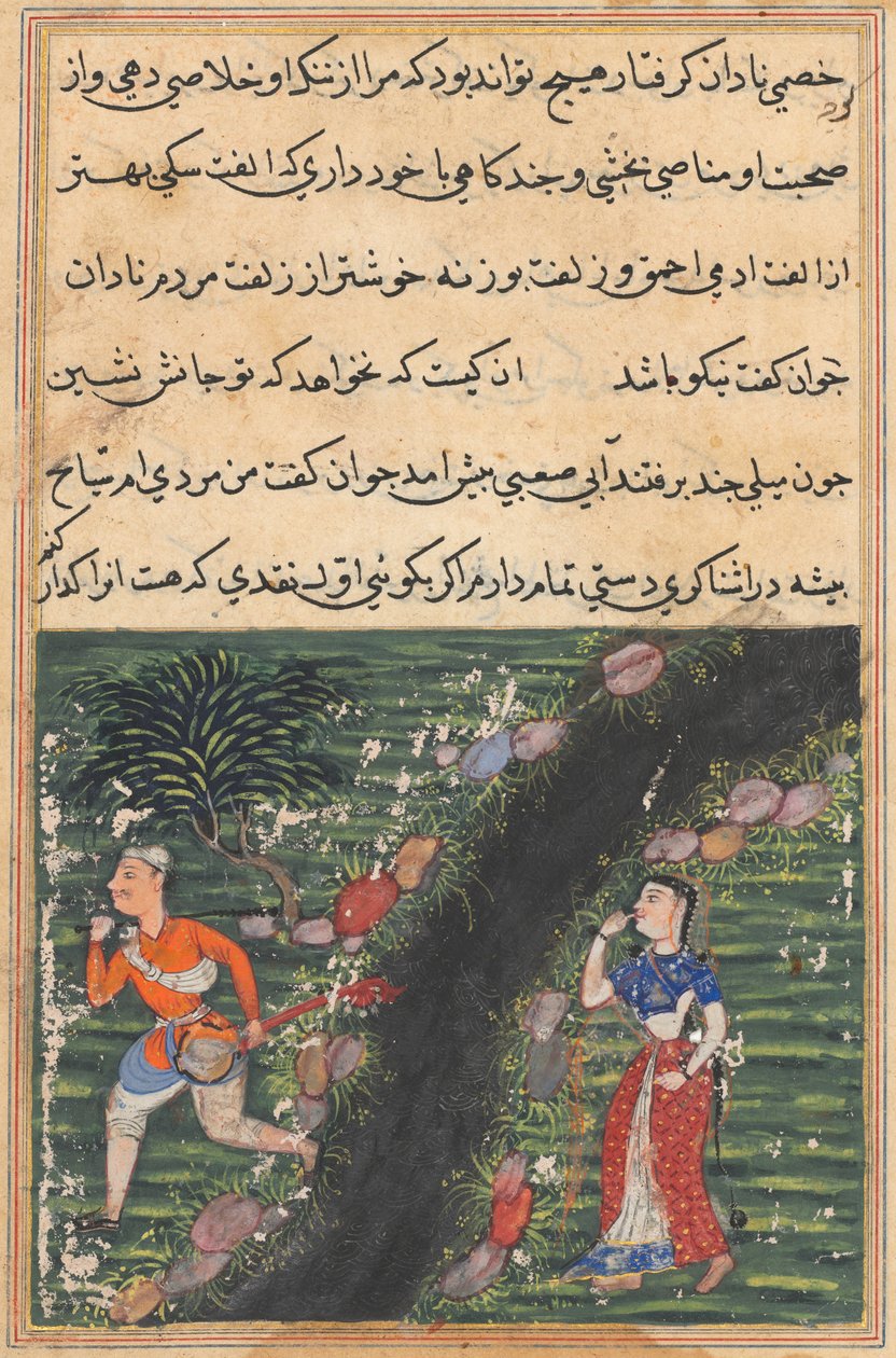एक तोते की कहानियाँ टुटी-नाम से: सोलहवीं रात: आवारा पार ..., सी। 1560। द्वारा अज्ञात