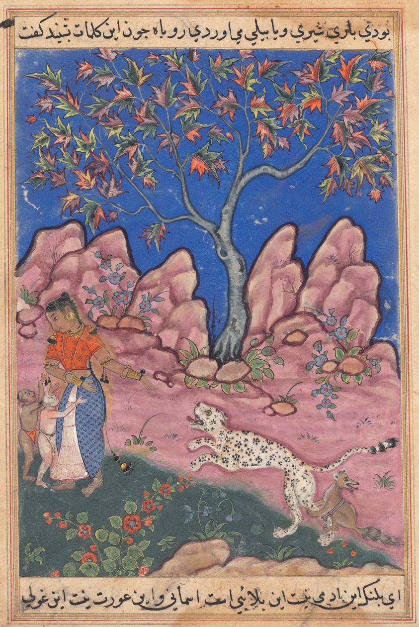 एक तोते की कहानियों से पेज टुटी-नाम: तीसवीं रात: स्त्री बातचीत ..., सी। 1560। द्वारा अज्ञात